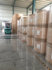 170g Five Satr PE Coated Paper Usage Cup Fans