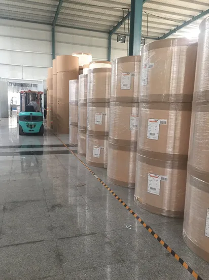 170g Five Satr PE Coated Paper Usage Cup Fans