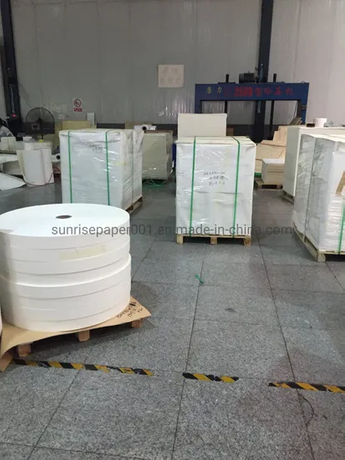 PE Coated Paper Cup Roll Food Grade Cup Stock Paper Roll Cardboard Paper Cup Raw Material