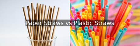 Paper_vs_Plastic_Straws.jpg