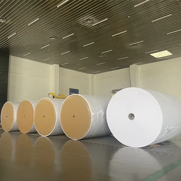 Ivory Woodfree Offset Paper 60-120GSM in Roll/Sheet Package