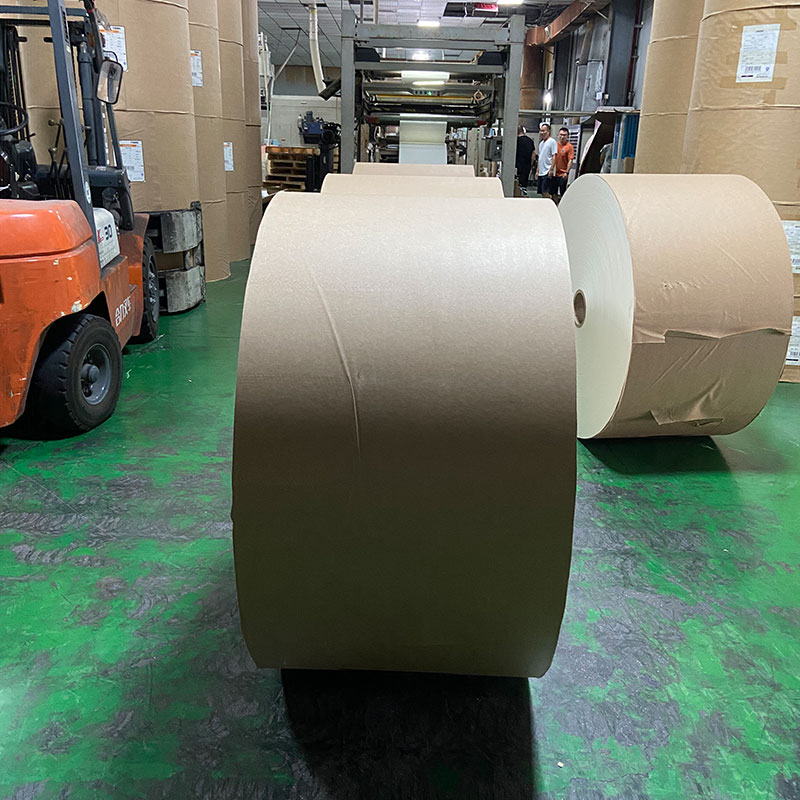 190-350g Kraft PE Coated Paper Brown Cup Paper Cupstock Paper