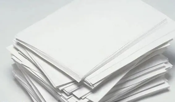 Office Woodfree Offset Paper 80 GSM Paper Roll