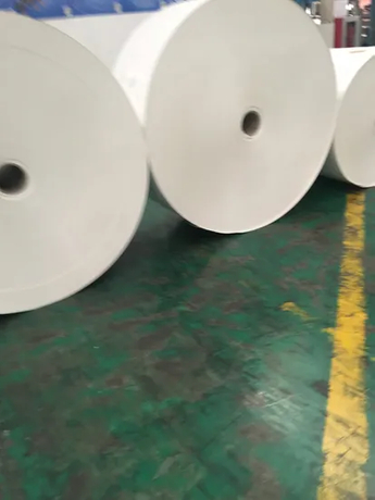 160g Single PE Coated Paper