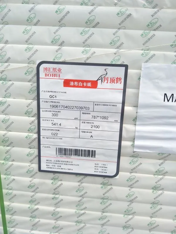 Fbb/Ivory Board/C1s/Folding Box Board Paper