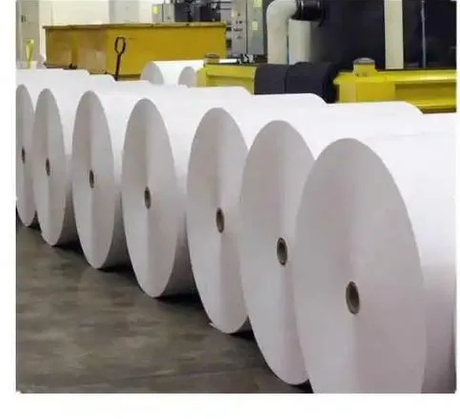 White Fbb C1s Ivory Board Paper for Packing