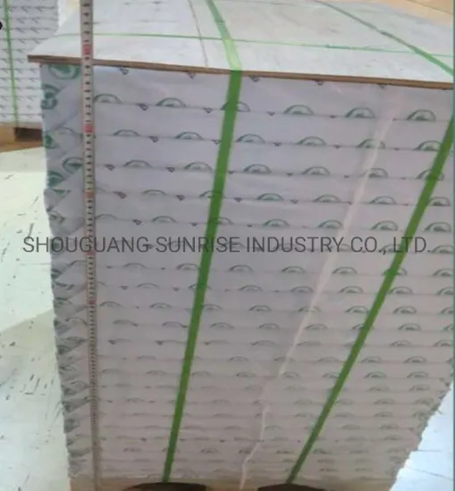 Sun Brand Fbb Ivory Board Use for Packing and Printing