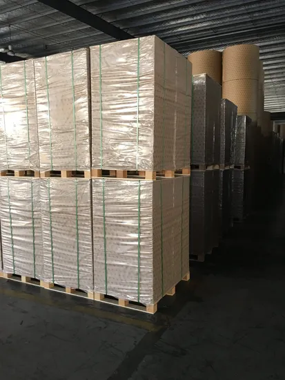 Folding Box Board Fbb for Cosmetic Medicine Boxes, Bags