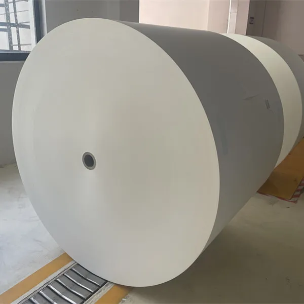 Ivory Woodfree Offset Paper 60-120GSM in Roll/Sheet Package