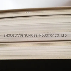 APP Brand Ivory Board Fbb Folding Box Board Use for Package