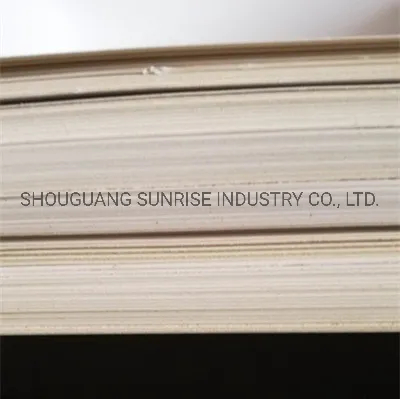 APP Brand Ivory Board Fbb Folding Box Board Use for Package